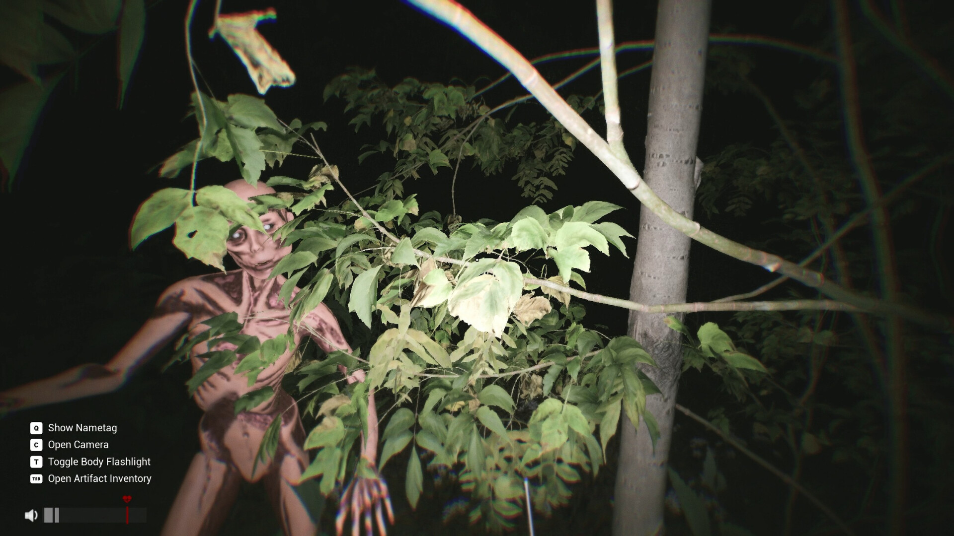 Sector 13: Haunted Woods patch notes & updates